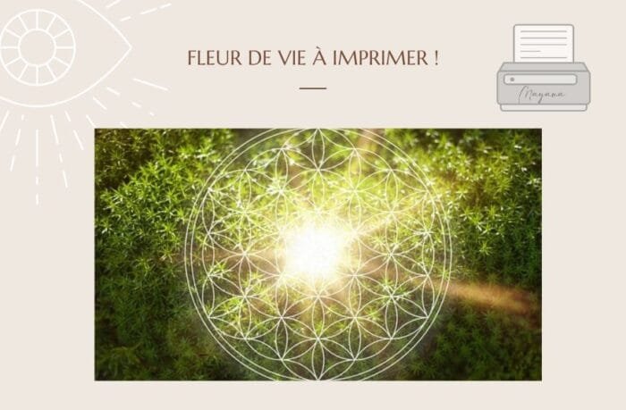 Fleur De Vie à Imprimer Gratuitement