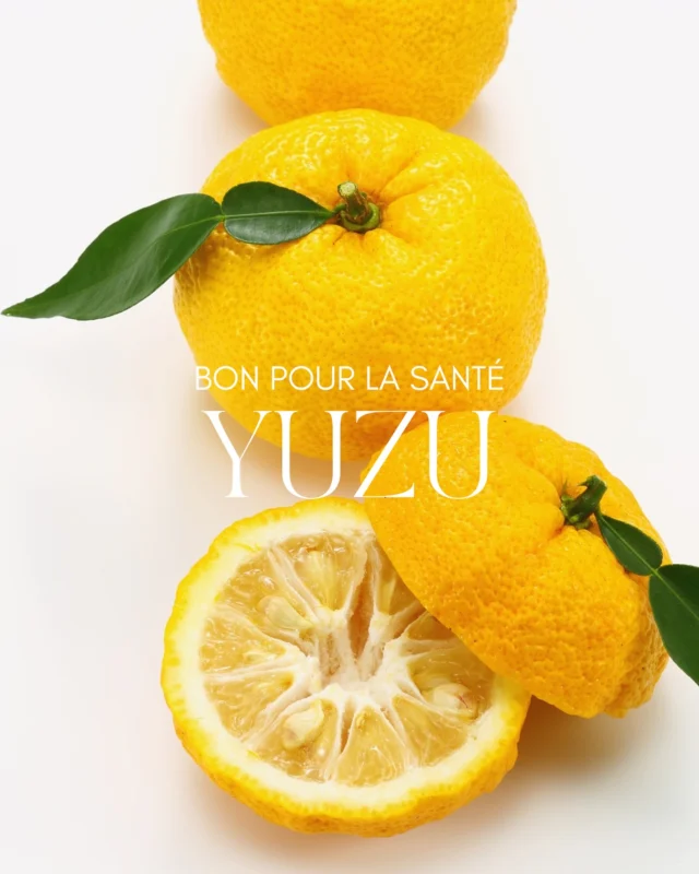 🍋 Bon pour la santé : le Yuzu
 Le yuzu, ce petit agrume originaire du Japon, regorge de bienfaits… et mérite sa place dans notre quotidien bien-être.

✨ Ses vertus ?
 – Riche en vitamine C → il booste l’immunité
 – Antioxydant naturel → il lutte contre le stress oxydatif
 – Favorise la digestion
 – Son parfum apaisant agit sur le stress et la fatigue mentale

💡 Comment le consommer facilement ?
 – En jus dans de l’eau tiède le matin
 – En zeste sur des plats ou desserts
 – En infusion avec du miel
 – En huile essentielle dans un diffuseur pour apaiser l’esprit
 – Ou tout simplement dans une confiture maison 

♡ J’ai envie de vous partager de plus en plus d’astuces bien-être, simples et naturelles, qui font du bien au corps comme à l’esprit. Dites-moi si l’idée vous plaît, et si vous utilisez déjà le yuzu ?! Je suis curieuse de connaître vos recettes ! 👇🏽

 yuzu | bien-être | santé naturelle | routine bien-être | astuces naturelles | vitalité | immunité | digestion | antioxydant | agrumes | alimentation saine | énergie positive | hygiène de vie | esprit sain | slow life | sérénité | remèdes naturels | équilibre | rituel du matin | détente | nutrition douce | secrets japonais